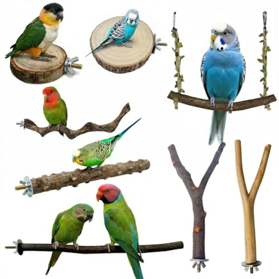8PCS natural wood bird perches - Health & Wellness Utsg review and price