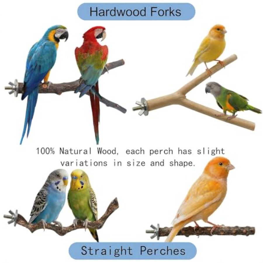 8PCS natural wood bird perches - Health & Wellness Utsg review and price